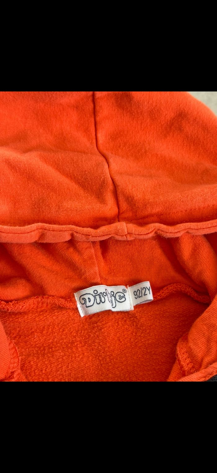 Sweat à capuche 24 mois - photo numéro 8