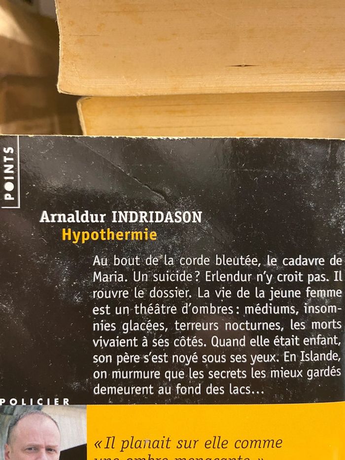 Hypothermie - Arnaldur Indridason - photo numéro 3