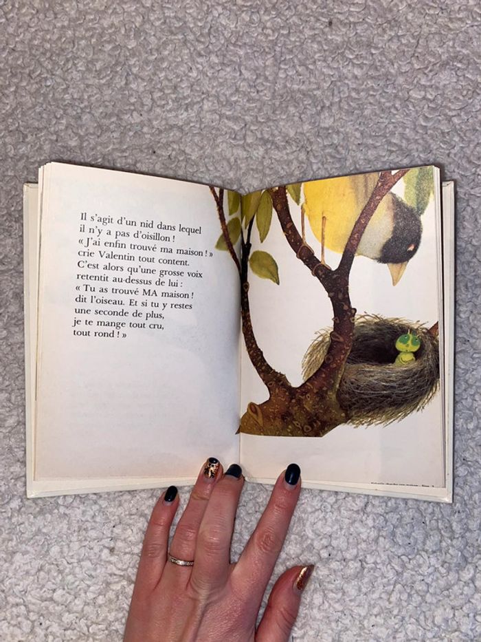 Livre enfant Valentin cherche une maison - photo numéro 2