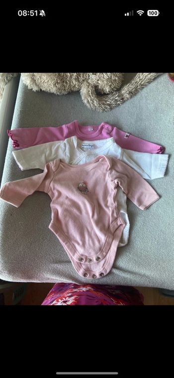 Lot 3 bodies