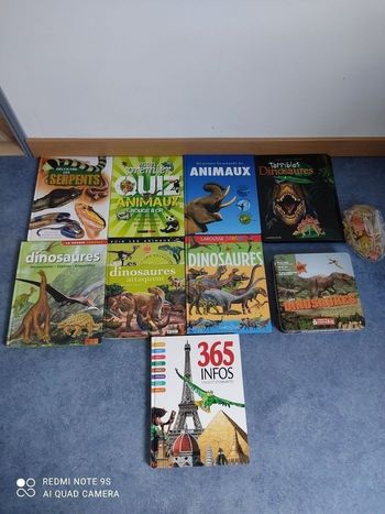 Livres dinosaures