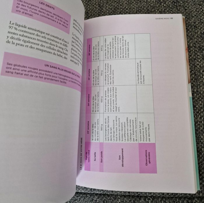 Livre de grossesse - photo numéro 3