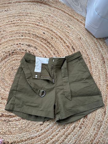 Short kaki mango