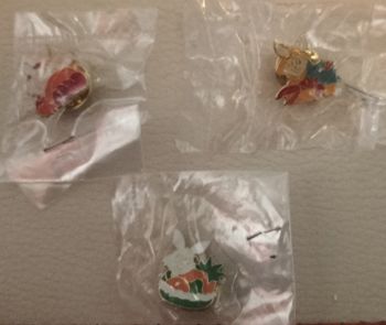 Lot pin's