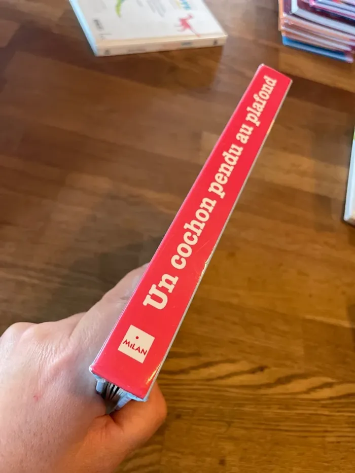 Livre cartonné contes et comptines à toucher Un petit cochon pendu au plafond - photo numéro 2