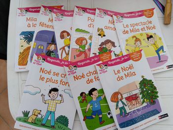 Lot de 8 livres Mila et Noé niveau 2 