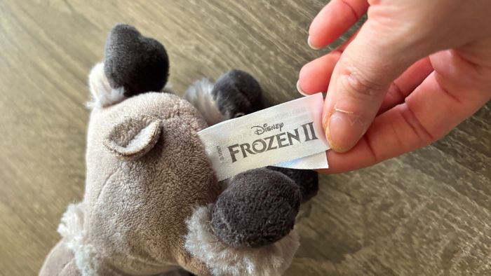 Sven disney - photo numéro 5