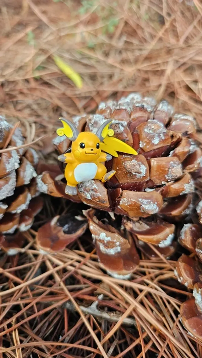 Super petite figurine Pokemon Nintendo Raichu - photo numéro 2