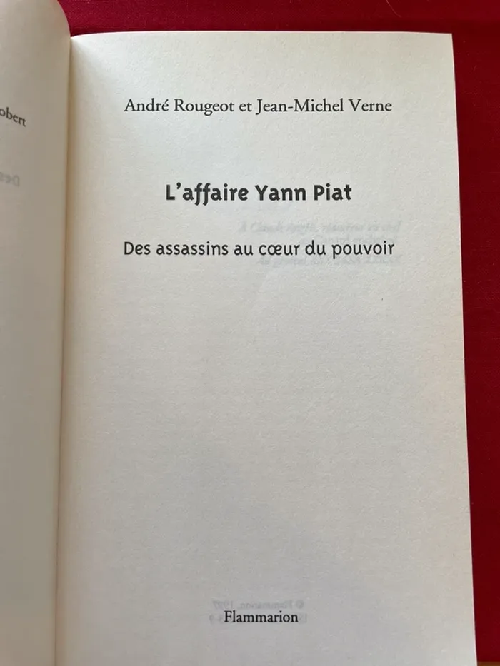 L’Affaire Yann PIAT - photo numéro 3