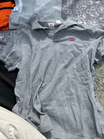 Polo levis 