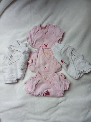 Lot 5 bodies orchestra