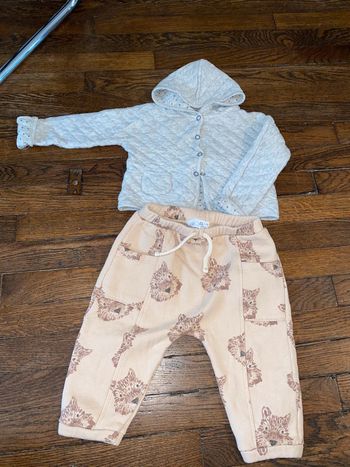 Gilet (bon état ) et jogging (très bon état) zara 9 mois