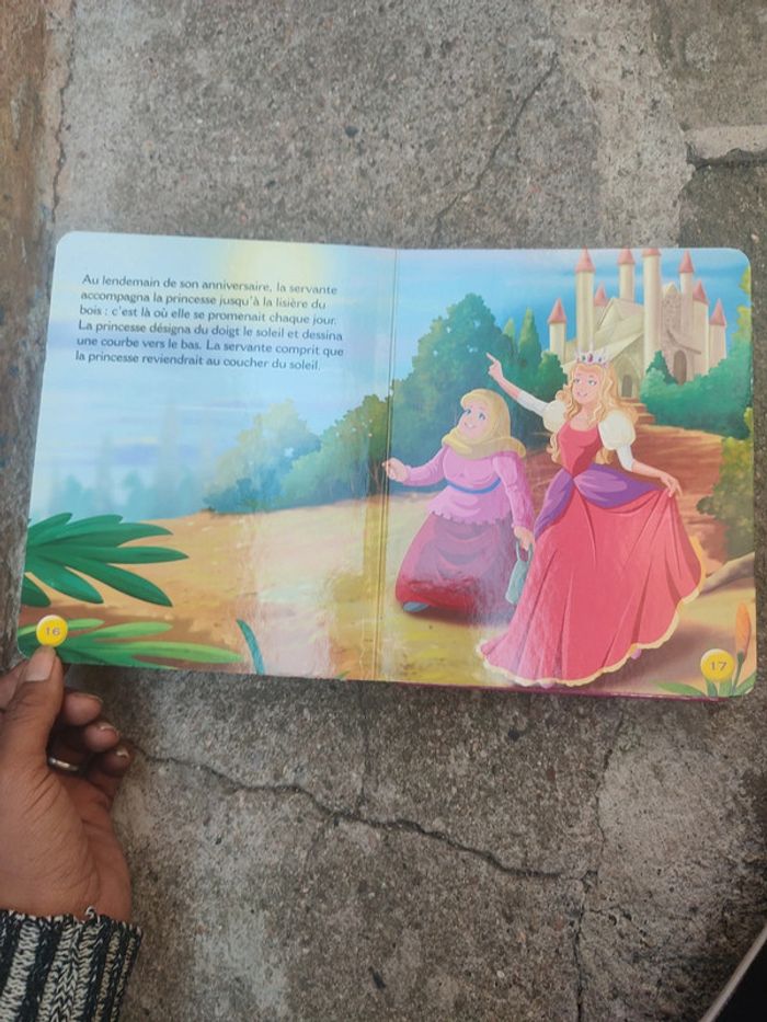 Livre le secret de la princesse - photo numéro 14