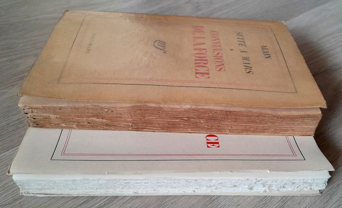 Alain (philosophe) suite à mars, convulsions de la force tome 1 et échec de la force tome 2 - photo numéro 6