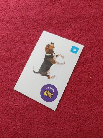 Carte nos amies les bêtes