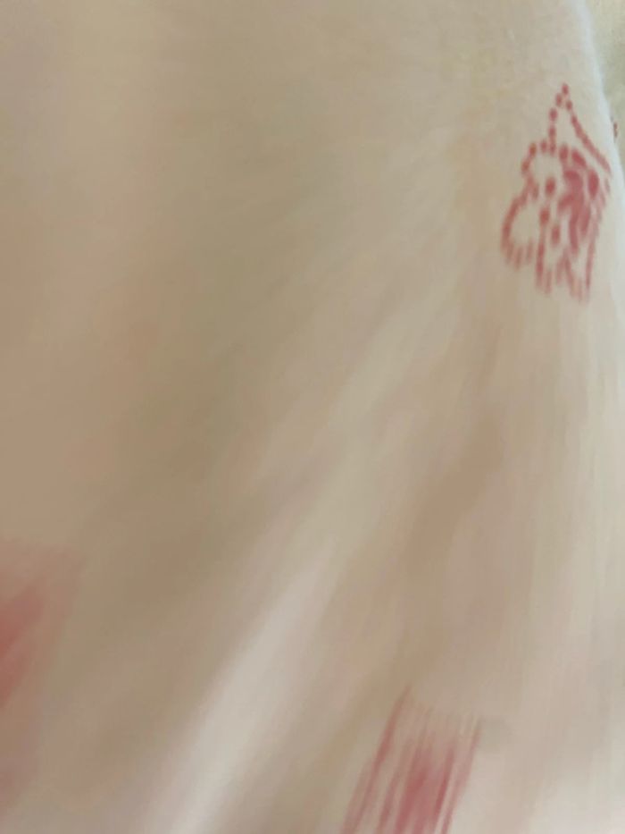 Nuisette - photo numéro 3