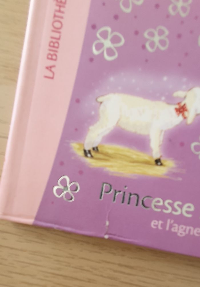 Lot 4 livres Princesse Academy - photo numéro 6