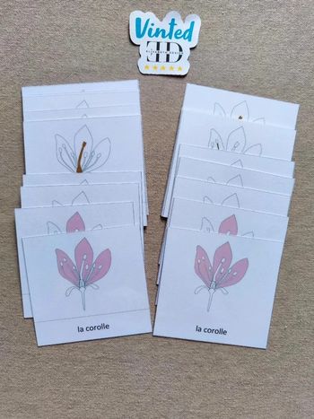 Cartes de nomenclature de la fleur