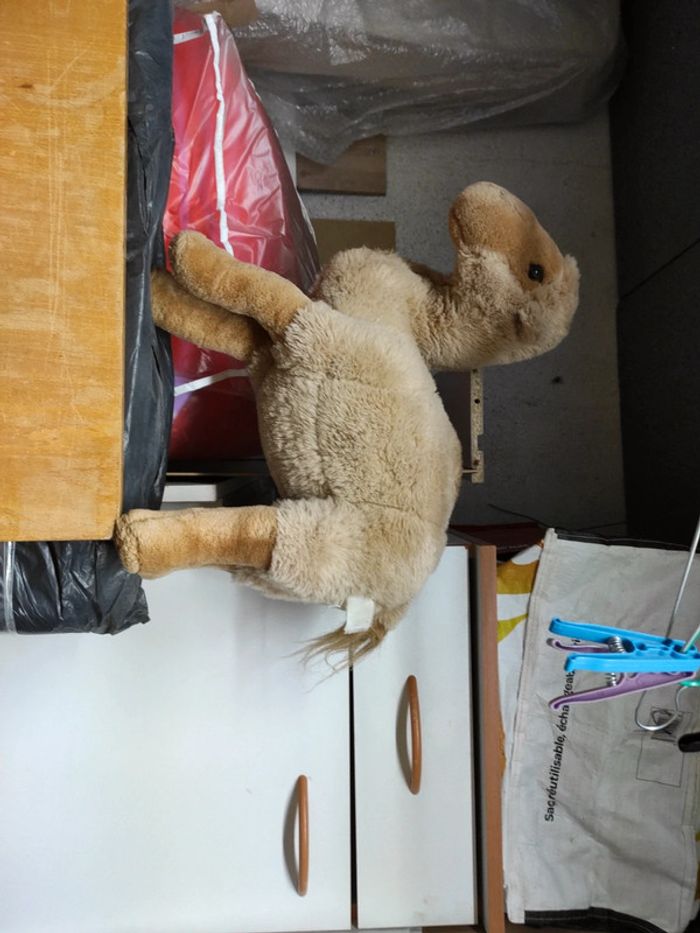 Peluche chameau (P)