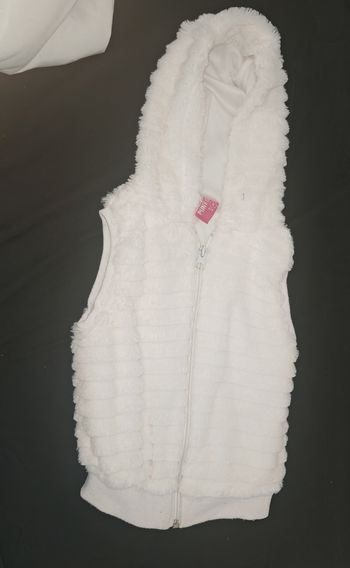 Gilet a capuche