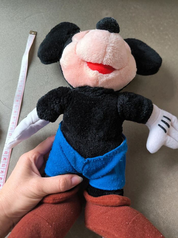 Mickey - photo numéro 2