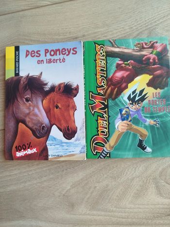 Lot de 2 livres