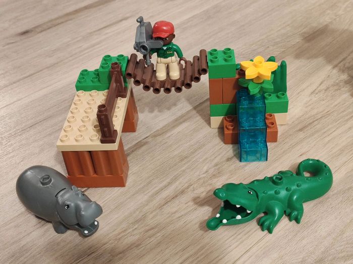 Saphari photo - photo numéro 4