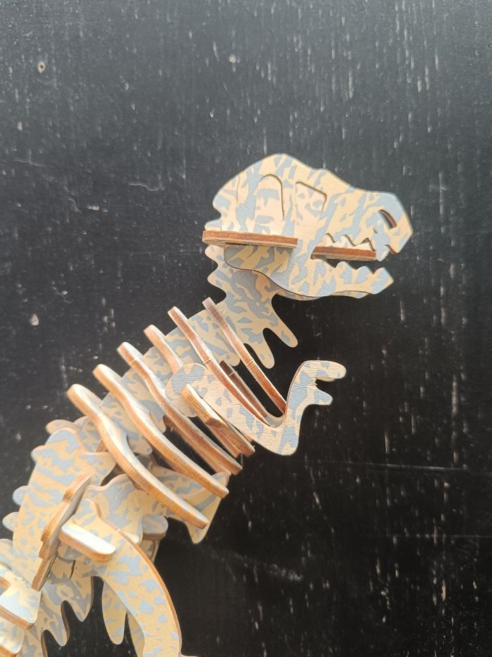 Dinosaure - photo numéro 2