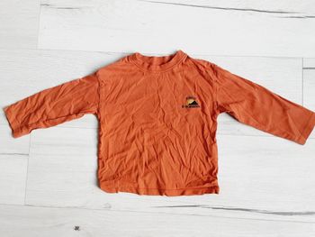 Vêtement bébé garçon tee-shirt manches longues Zara 18 mois
