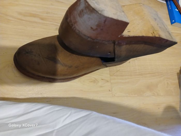 Sabot de Galloches - photo numéro 2