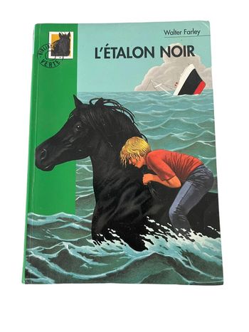 Livre Bibliothèque Verte l’étalon noir Hachette