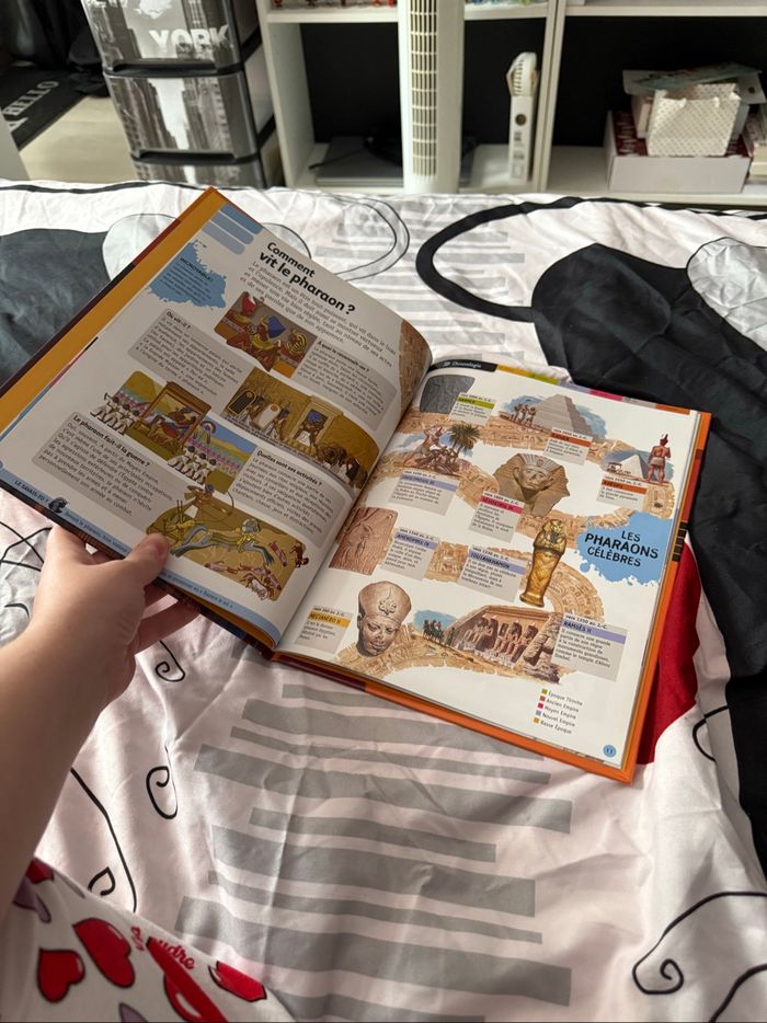 Livre l’Égypte des pharaons - photo numéro 7