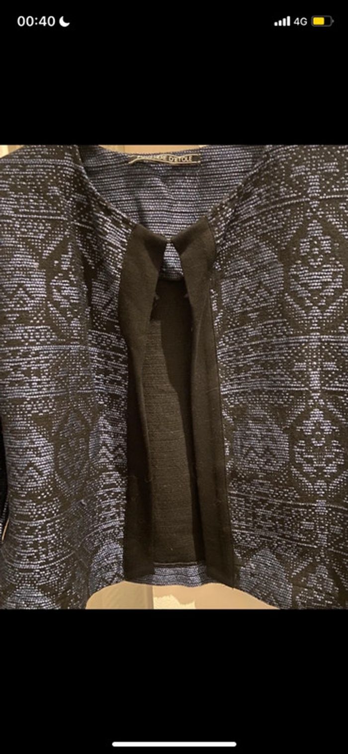 Veste Poussière d’etole - photo numéro 3