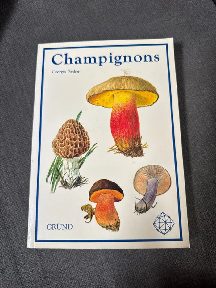 Champignons