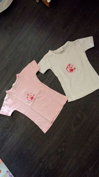 Lot de deux tee shirts 2-3 ans