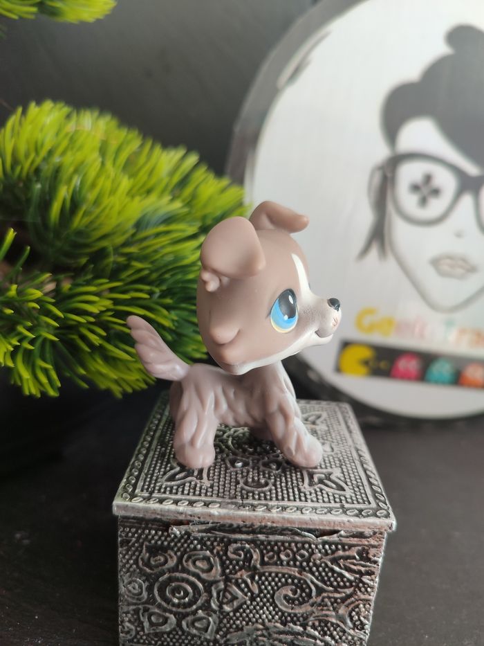 My Littlest Petshop Pet Shop LPS Authentic Authentique Dog Collie Colley 67 - photo numéro 5