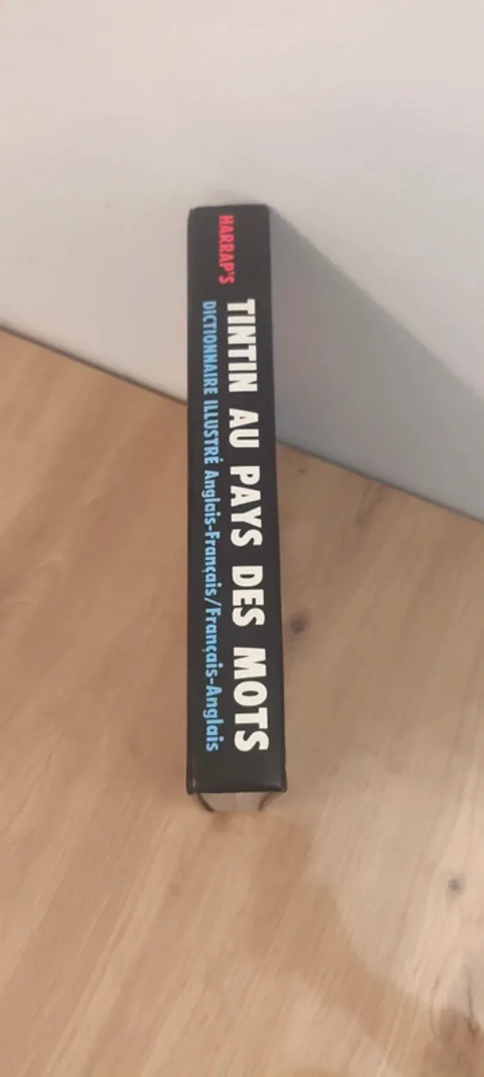 Livre tintin au pays des mots - photo numéro 3