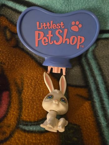 Petshop lapin