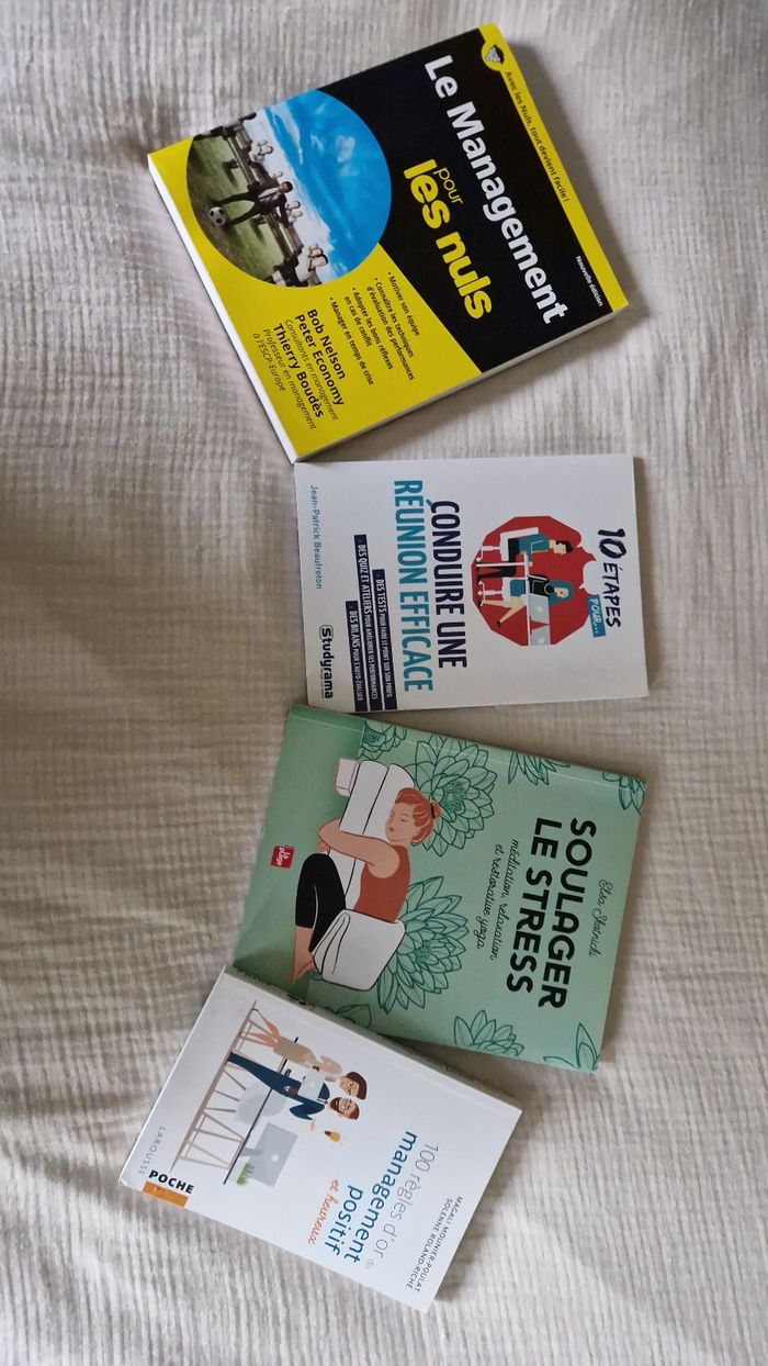 Livre sur le management - photo numéro 2