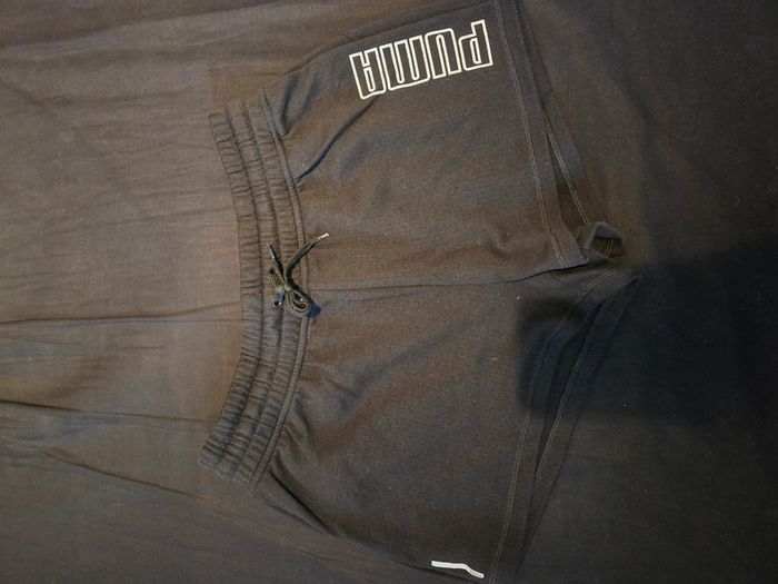 Short puma