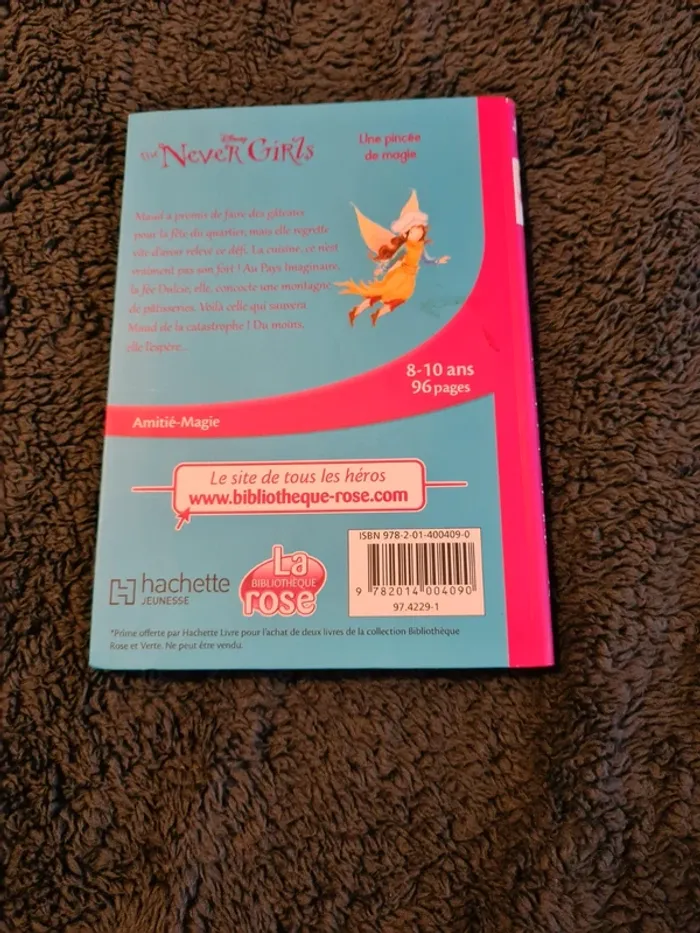 The never girls livre - photo numéro 2