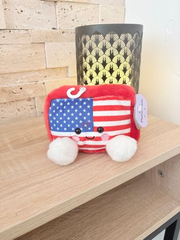 Palm pals drapeau américain