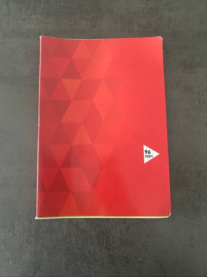 cahier 21*29 grands carreaux