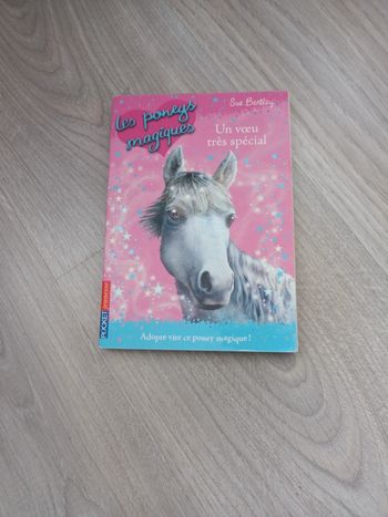 Livre Les poneys magiques Tome 2 en bon état