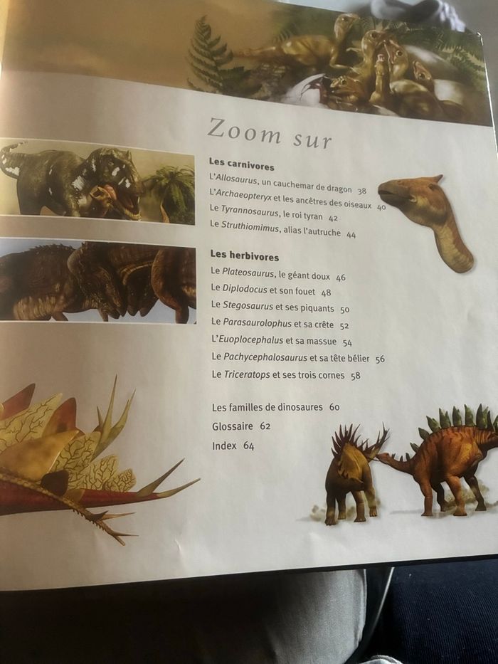 Livre Les dinosaures 🦖 a la loupe - photo numéro 4