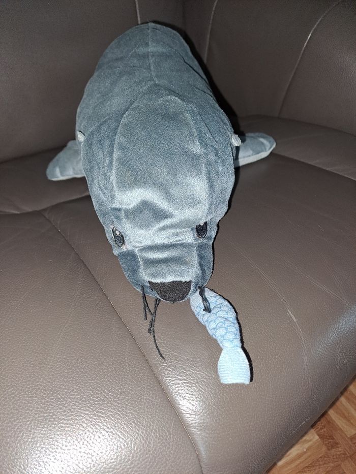 Phoque avec son poisson en bouche