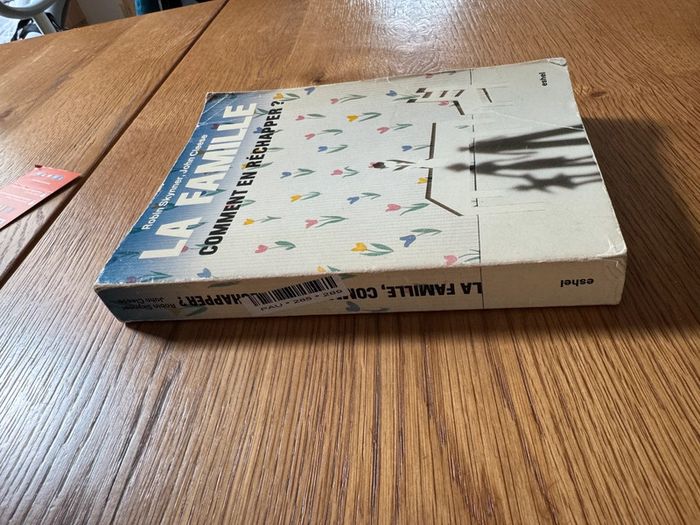 Lot de 2 livres La famille Comment en réchapper Vince & Joy – Lisa Jewell – Roman en français et - photo numéro 5