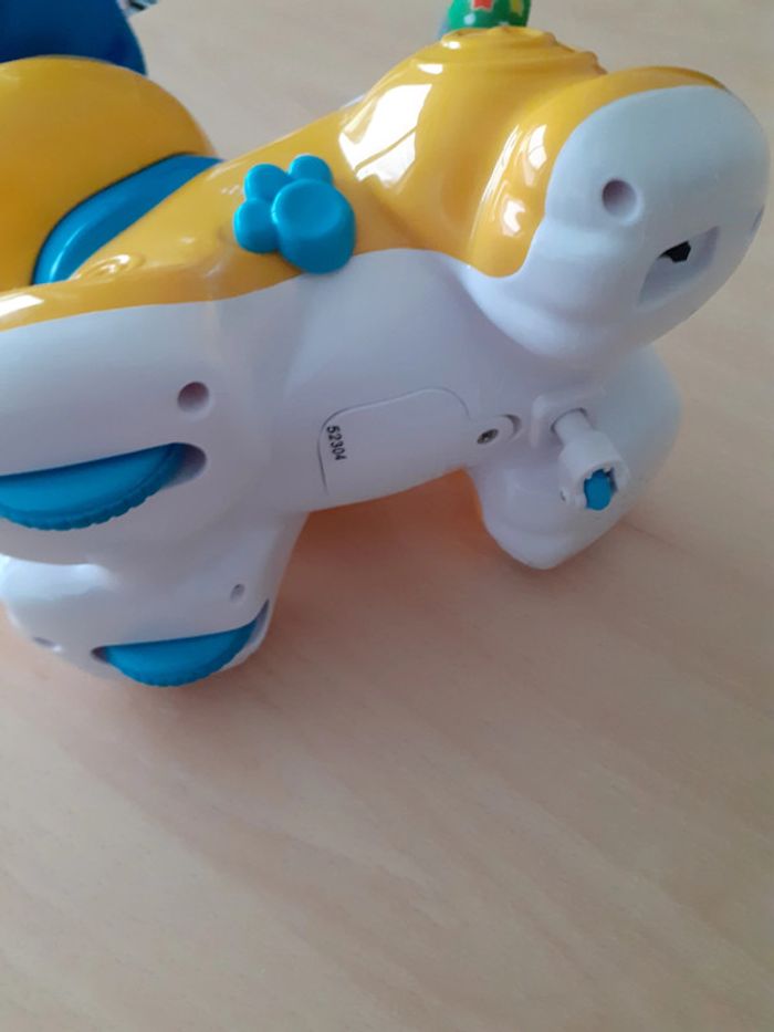 Chien Caché-Coucou - photo numéro 3