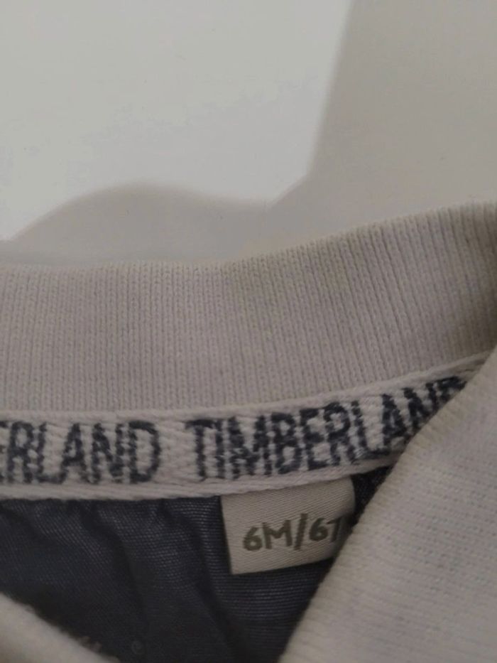 Polo Timberland - photo numéro 4