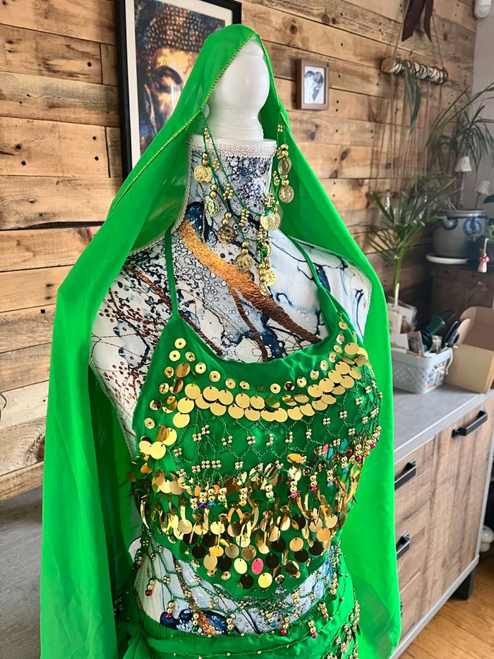 Tenue indou carnavalesque - photo numéro 3